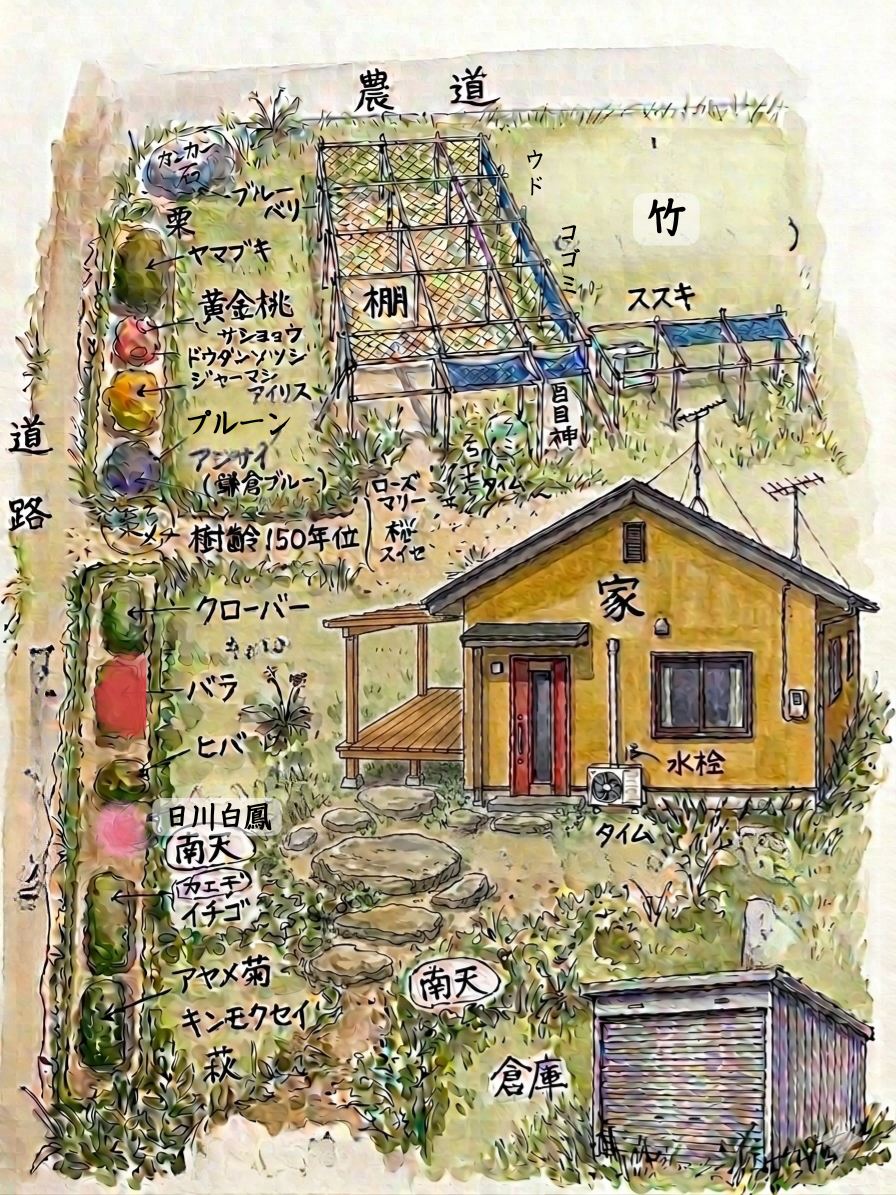 real local 南八ヶ岳【SALE】「数々の果樹と花に囲まれた”今すぐ住める