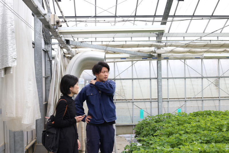 【愛知県豊川市】SNS発信して、時に店頭でチヂミを焼く。豊川の農業をデザインする佐藤光さんの挑戦
