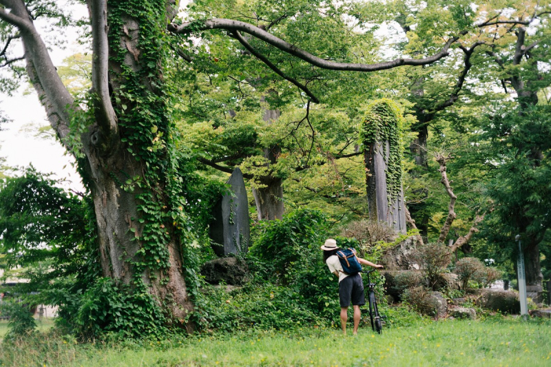 ダルマ自転車がゆく！ 第10回 @ 薬師公園