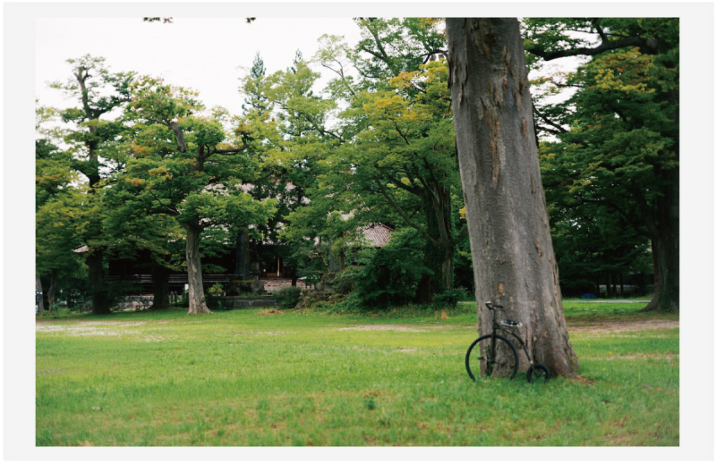 ダルマ自転車がゆく！ 第10回 @ 薬師公園