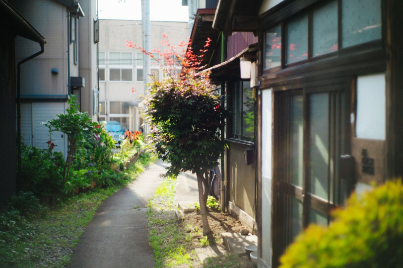 山形市内でペットと過ごせる、一棟貸しの古民家宿 「PF GUEST HOUSE」